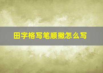 田字格写笔顺撇怎么写