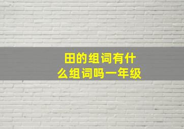 田的组词有什么组词吗一年级