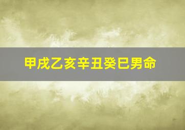 甲戌乙亥辛丑癸巳男命