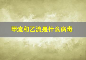 甲流和乙流是什么病毒