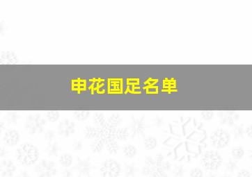 申花国足名单