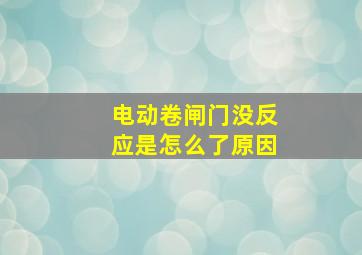 电动卷闸门没反应是怎么了原因