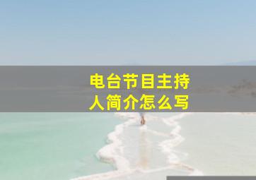 电台节目主持人简介怎么写