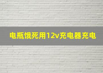 电瓶饿死用12v充电器充电