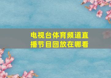 电视台体育频道直播节目回放在哪看