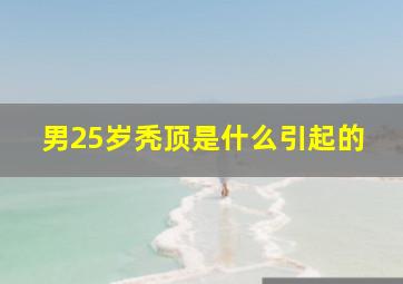 男25岁秃顶是什么引起的