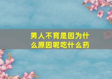 男人不育是因为什么原因呢吃什么药