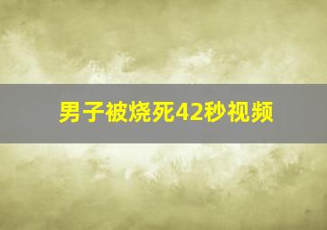 男子被烧死42秒视频