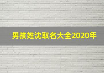 男孩姓沈取名大全2020年