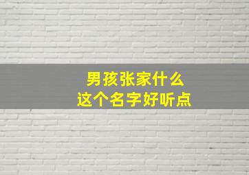 男孩张家什么这个名字好听点