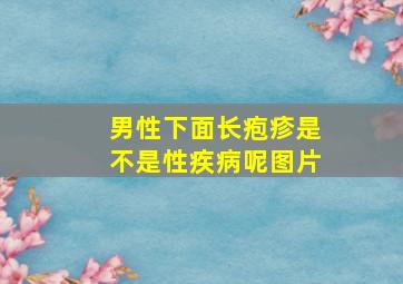 男性下面长疱疹是不是性疾病呢图片