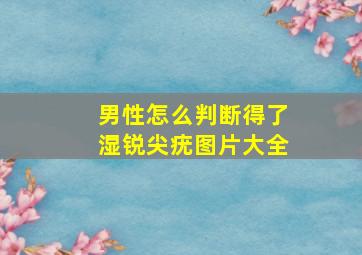 男性怎么判断得了湿锐尖疣图片大全