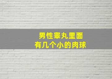 男性睾丸里面有几个小的肉球