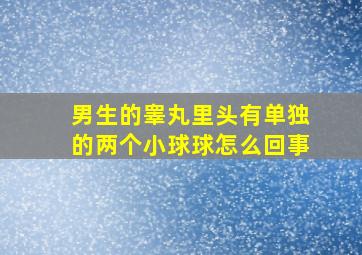 男生的睾丸里头有单独的两个小球球怎么回事