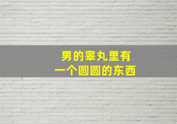 男的睾丸里有一个圆圆的东西