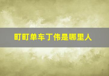 町町单车丁伟是哪里人