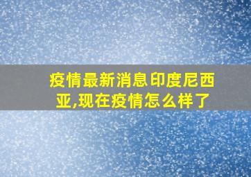 疫情最新消息印度尼西亚,现在疫情怎么样了