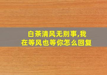 白茶清风无别事,我在等风也等你怎么回复