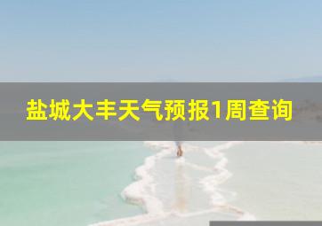 盐城大丰天气预报1周查询