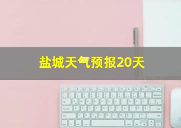 盐城天气预报20天