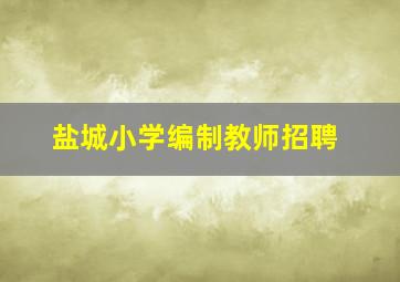 盐城小学编制教师招聘