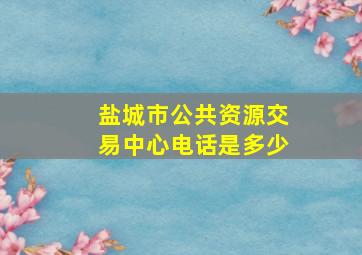 盐城市公共资源交易中心电话是多少