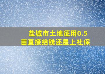 盐城市土地征用0.5亩直接给钱还是上社保