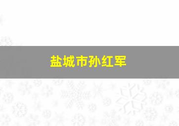 盐城市孙红军