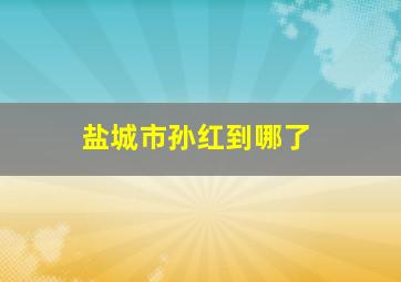 盐城市孙红到哪了