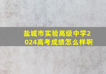 盐城市实验高级中学2024高考成绩怎么样啊