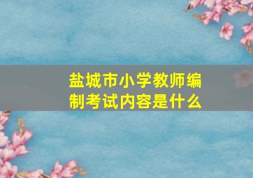 盐城市小学教师编制考试内容是什么