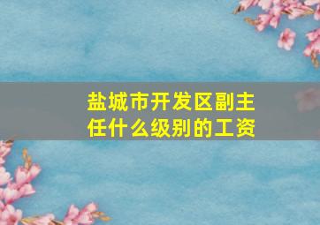 盐城市开发区副主任什么级别的工资