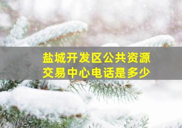 盐城开发区公共资源交易中心电话是多少