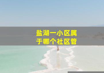 盐湖一小区属于哪个社区管