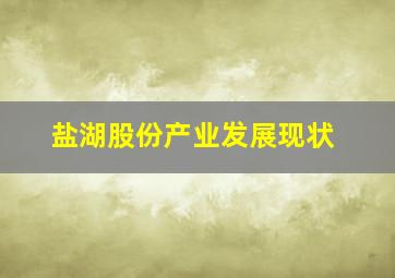 盐湖股份产业发展现状