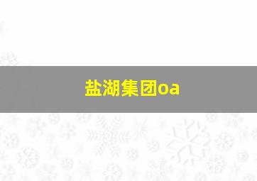 盐湖集团oa