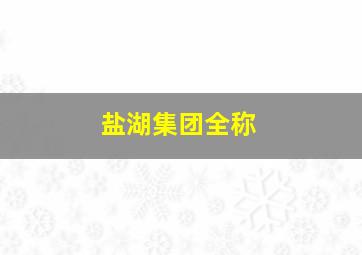 盐湖集团全称