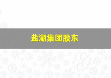 盐湖集团股东