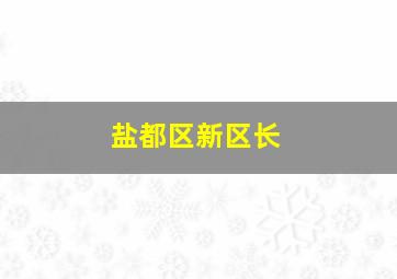 盐都区新区长