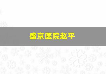 盛京医院赵平