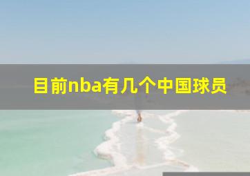 目前nba有几个中国球员