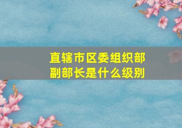 直辖市区委组织部副部长是什么级别