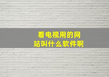 看电视用的网站叫什么软件啊