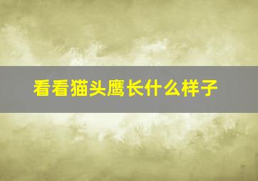 看看猫头鹰长什么样子