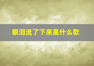 眼泪流了下来是什么歌