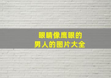 眼睛像鹰眼的男人的图片大全