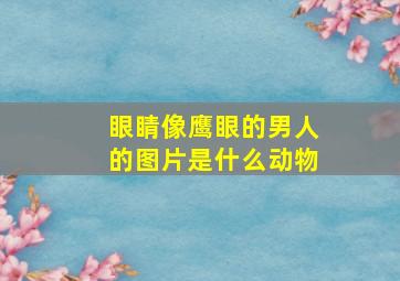 眼睛像鹰眼的男人的图片是什么动物