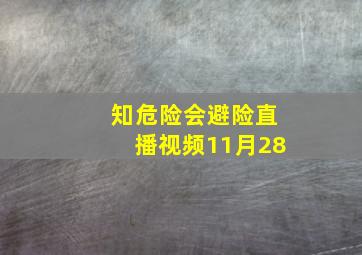 知危险会避险直播视频11月28