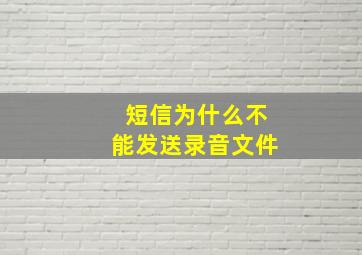 短信为什么不能发送录音文件