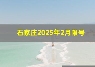 石家庄2025年2月限号